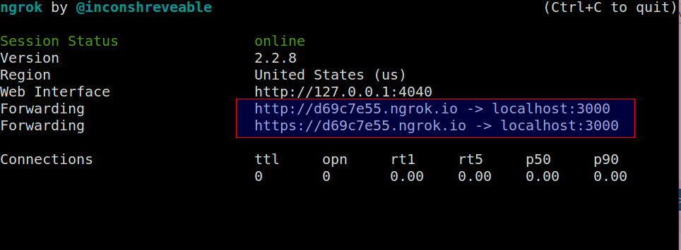 ngrok terminal